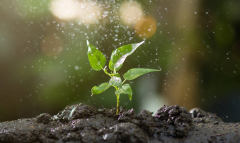 開展土壤墑情監(jiān)測，促進農(nóng)業(yè)結(jié)構(gòu)調(diào)整